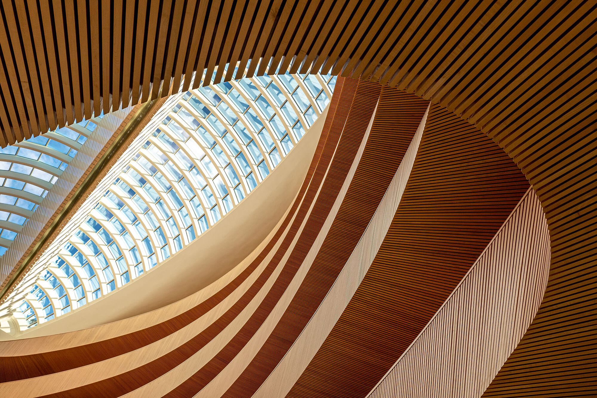 Photollarena - Fotografía de Arquitectura, interiores y turística - 0ac60ec8-73d4-4665-8916-7e72f99ad11f.jpeg